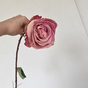 Accents - Large Fabric Flower Accents - Large Fabric Flower